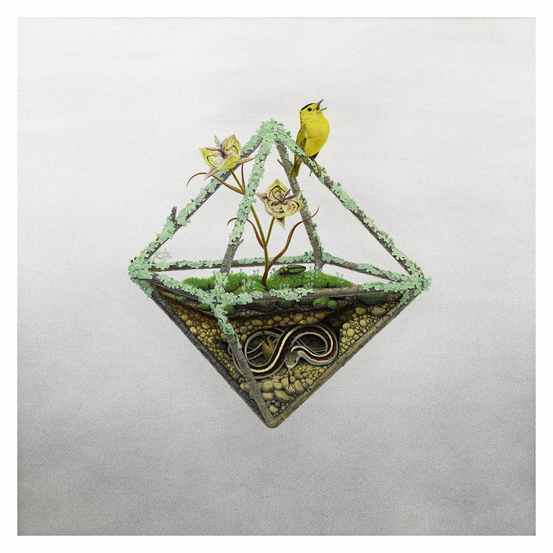 New Release: "Air" by Tiffany Bozic