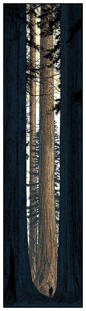 New Release: “Avenue of the Giants” by Dan McCarthy