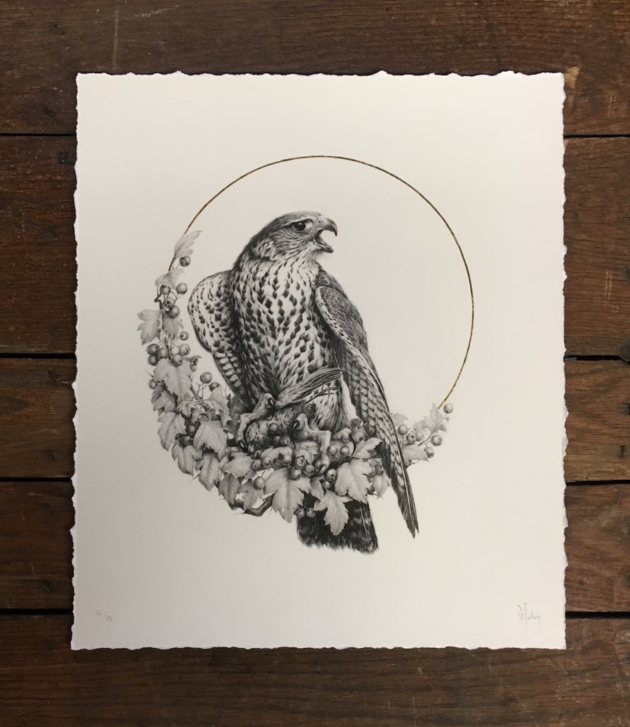 New Release: "Caim" by Vanessa Foley