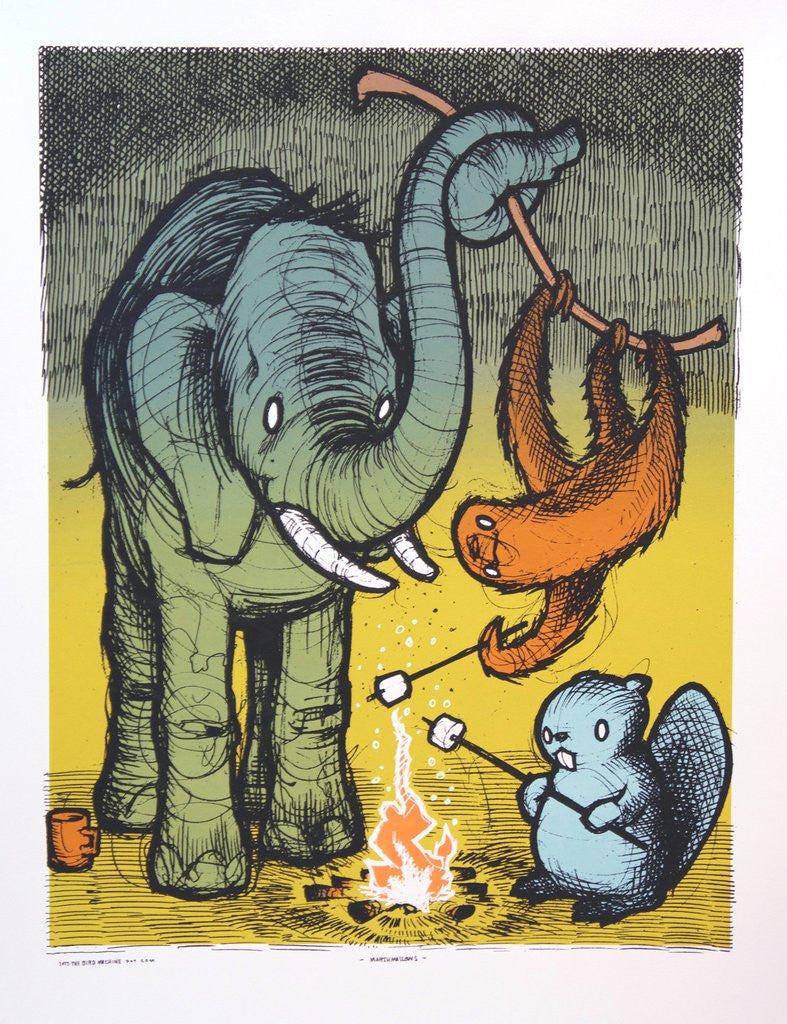 New Release: "Marshmallows” by Jay Ryan