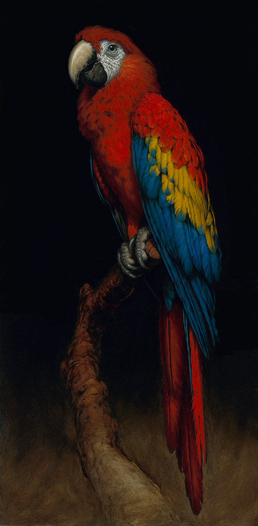 New Release: “Mayhem" and "Mischief" by Vanessa Foley