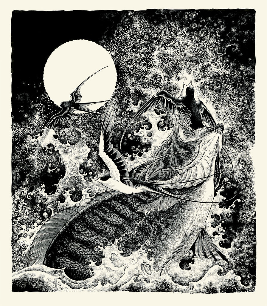 New Release: "Swallow" by Brandon Holt