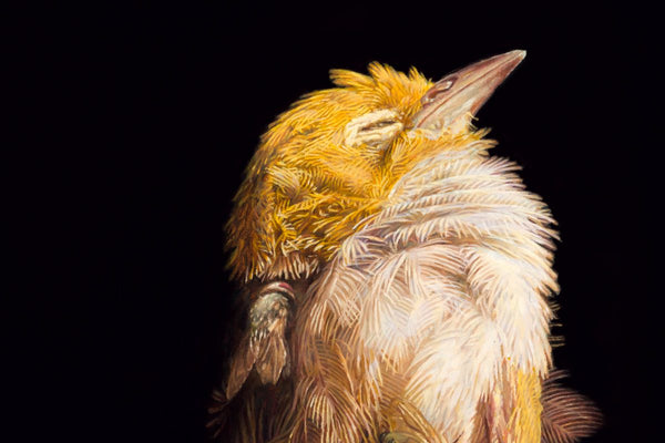 Jeremy Geddes - "Miserere 15" 1st Edition - 2023 (Detail 1)