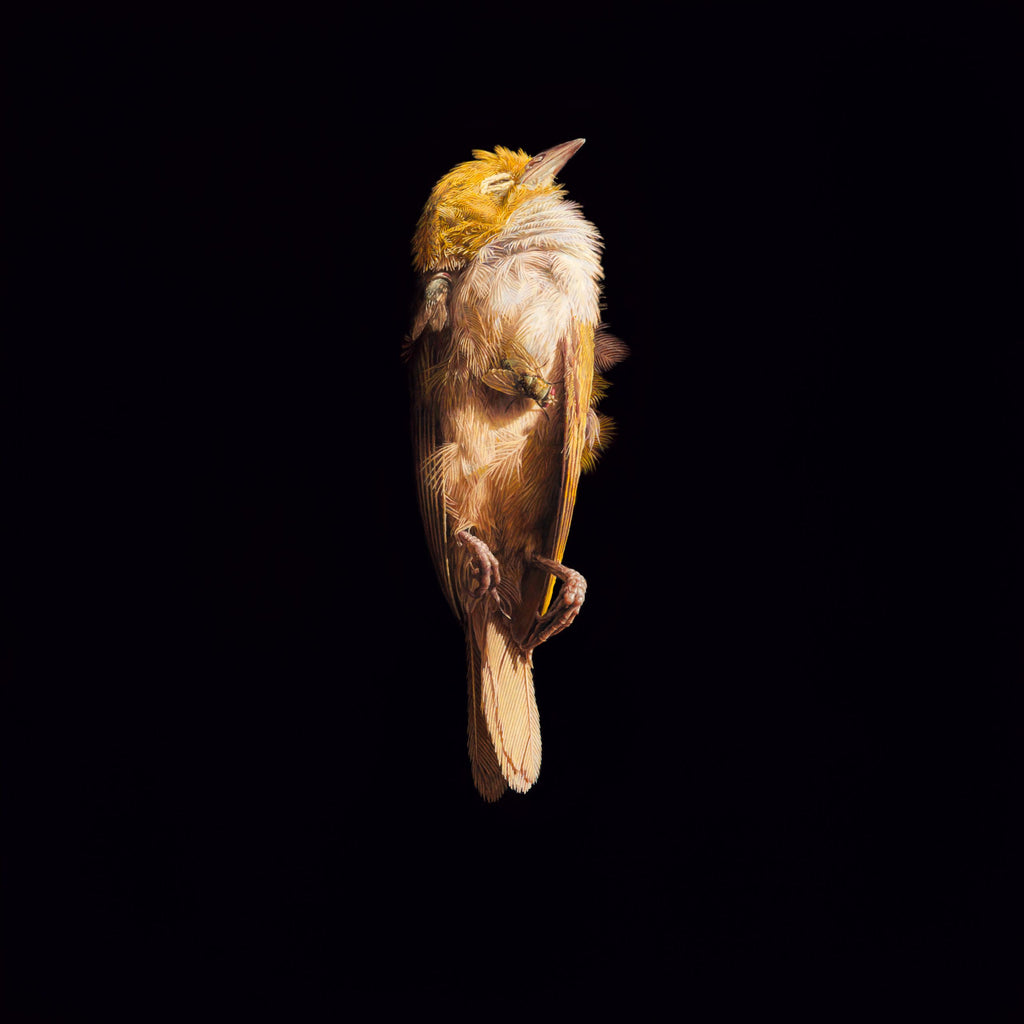 Jeremy Geddes - "Miserere 15" 1st Edition - 2023