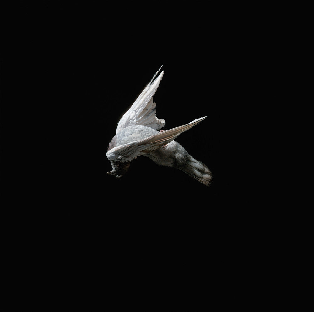 Jeremy Geddes - "Miserere 6" 1st Edition - 2013
