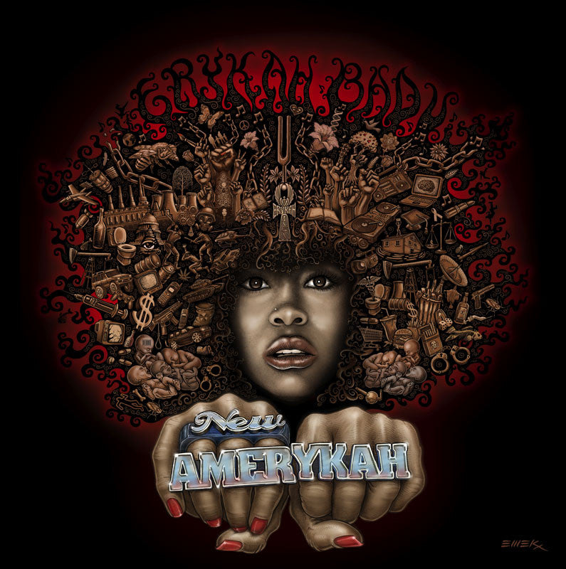 EMEK - "Erykah Badu New Amerykah Dallas" GIclee Edition -2008