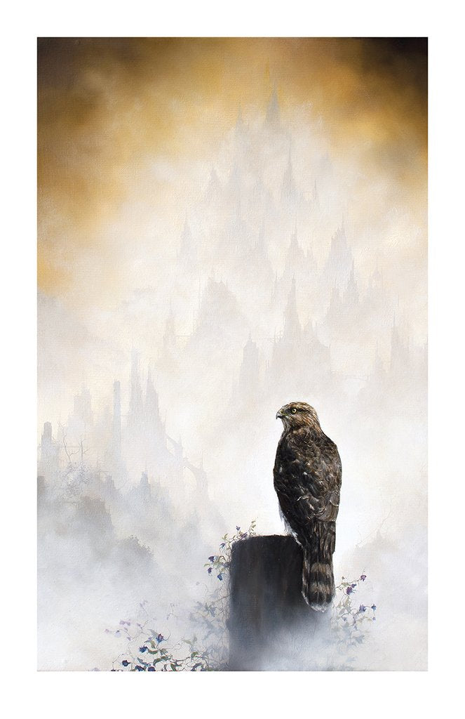 New Release: “Cooper's Hawk” by Brian Mashburn