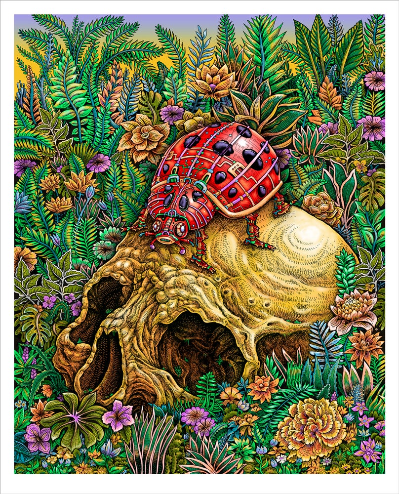New Release: “Lady Bug” by EMEK