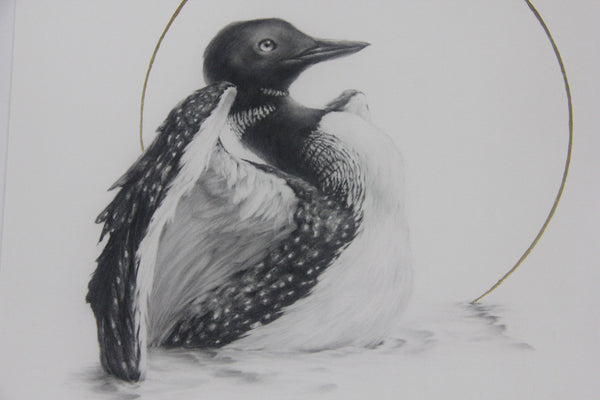 Vanessa Foley - "Common Loon" 1st Edition - 2016 (Detail 1)