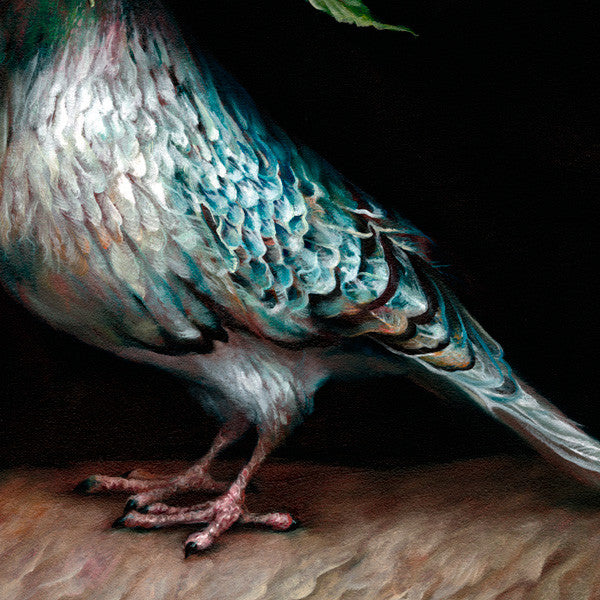 Esao Andrews - "Hope Pigeon" 1st Edition - 2012 (Detail 1)