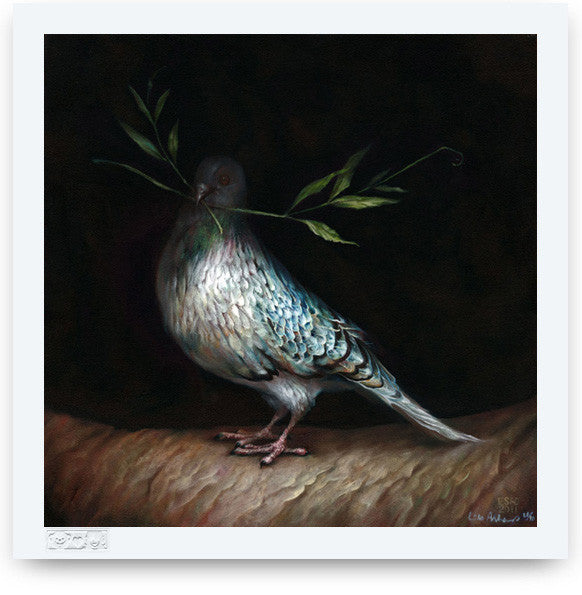 Esao Andrews - "Hope Pigeon" 1st Edition - 2012