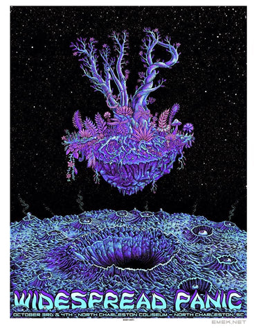 EMEK - "Widespread Panic North Charleston" Artist Edition - 2014